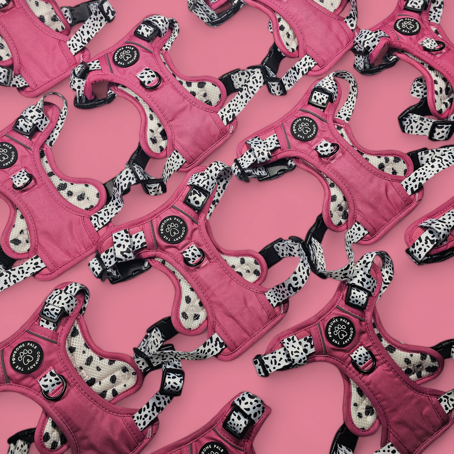Lavish Berry Dalmatian collection | 3-Click Tough Trail Harness
