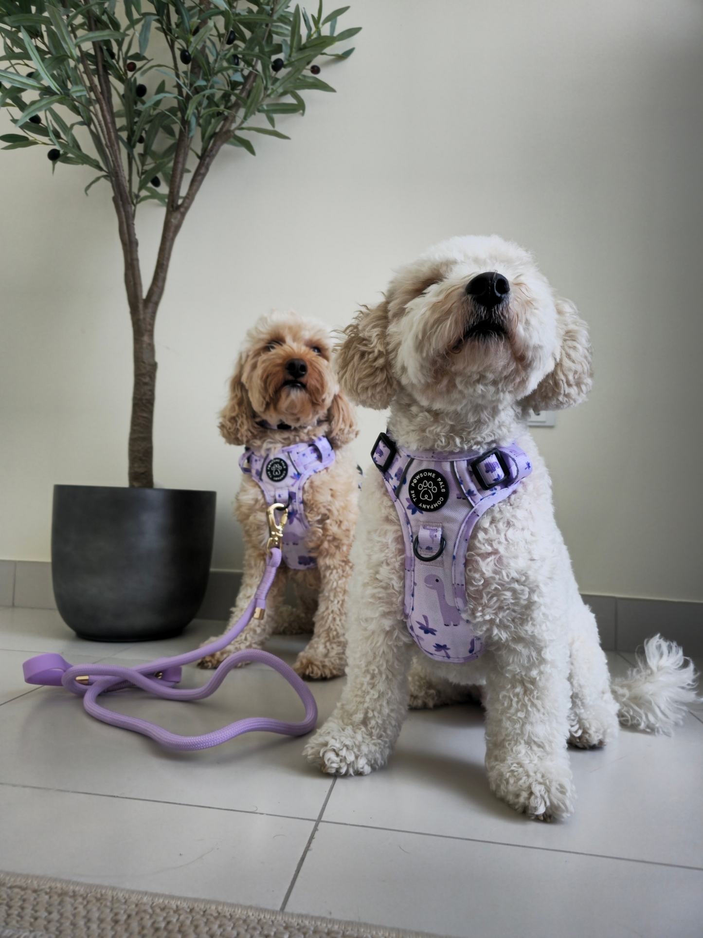 Rocco-RAWRUS Range | 3-Click Tough Trail Harness | Plush purple