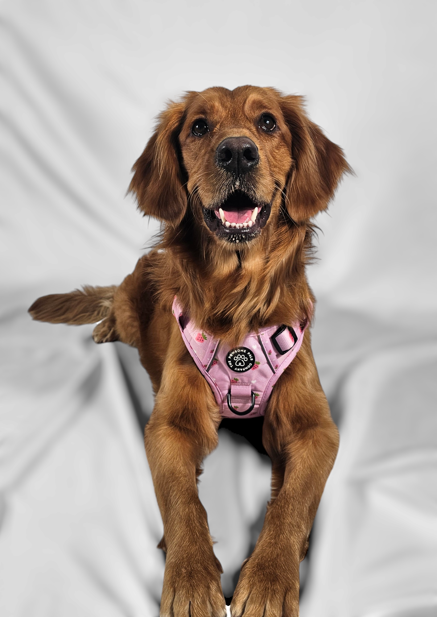 Strawberry Blush Collection | 3-Click Tough Trail Harness