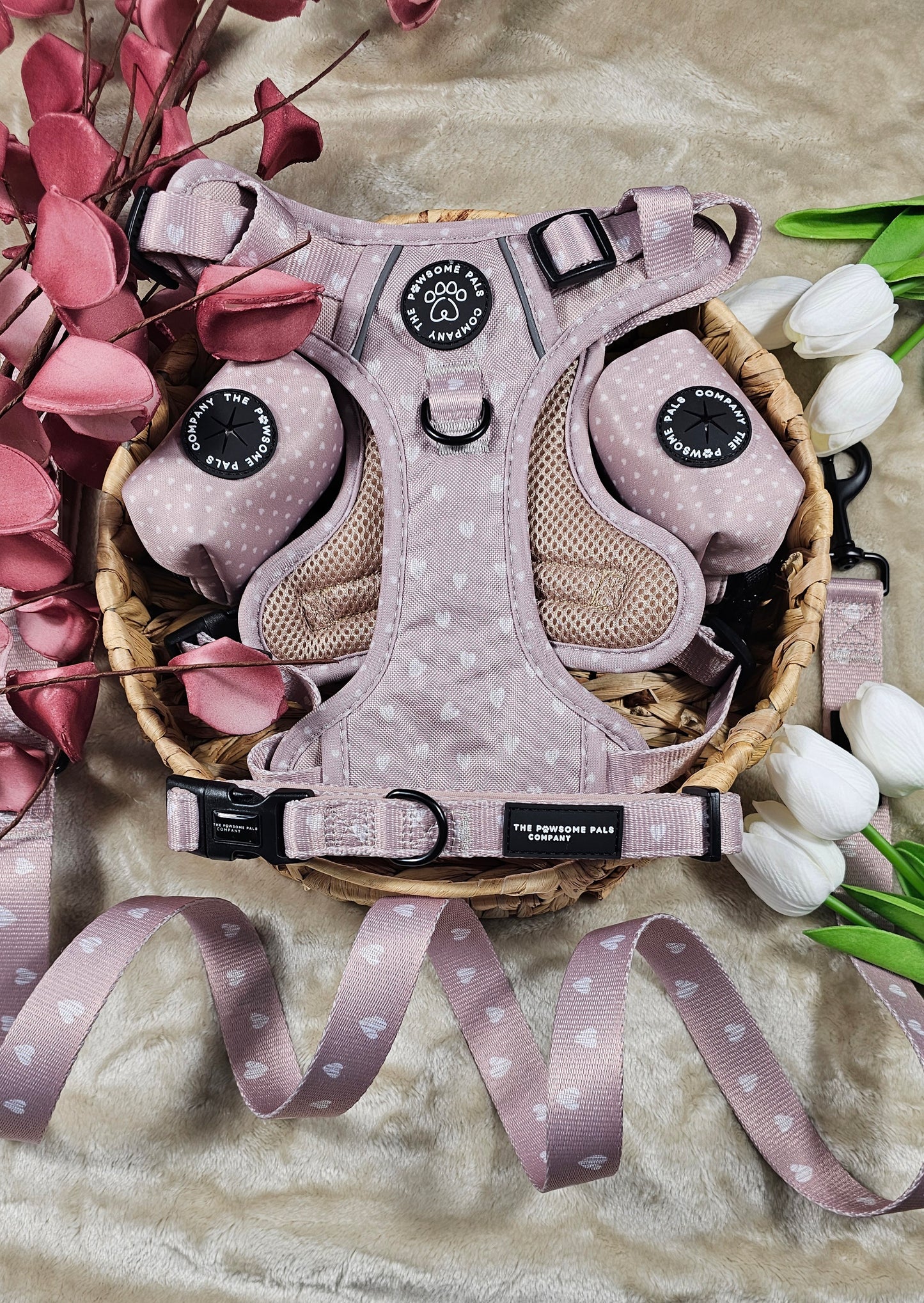 Luxurious Latte Heart Collection | 3-Click Tough Trail Harness