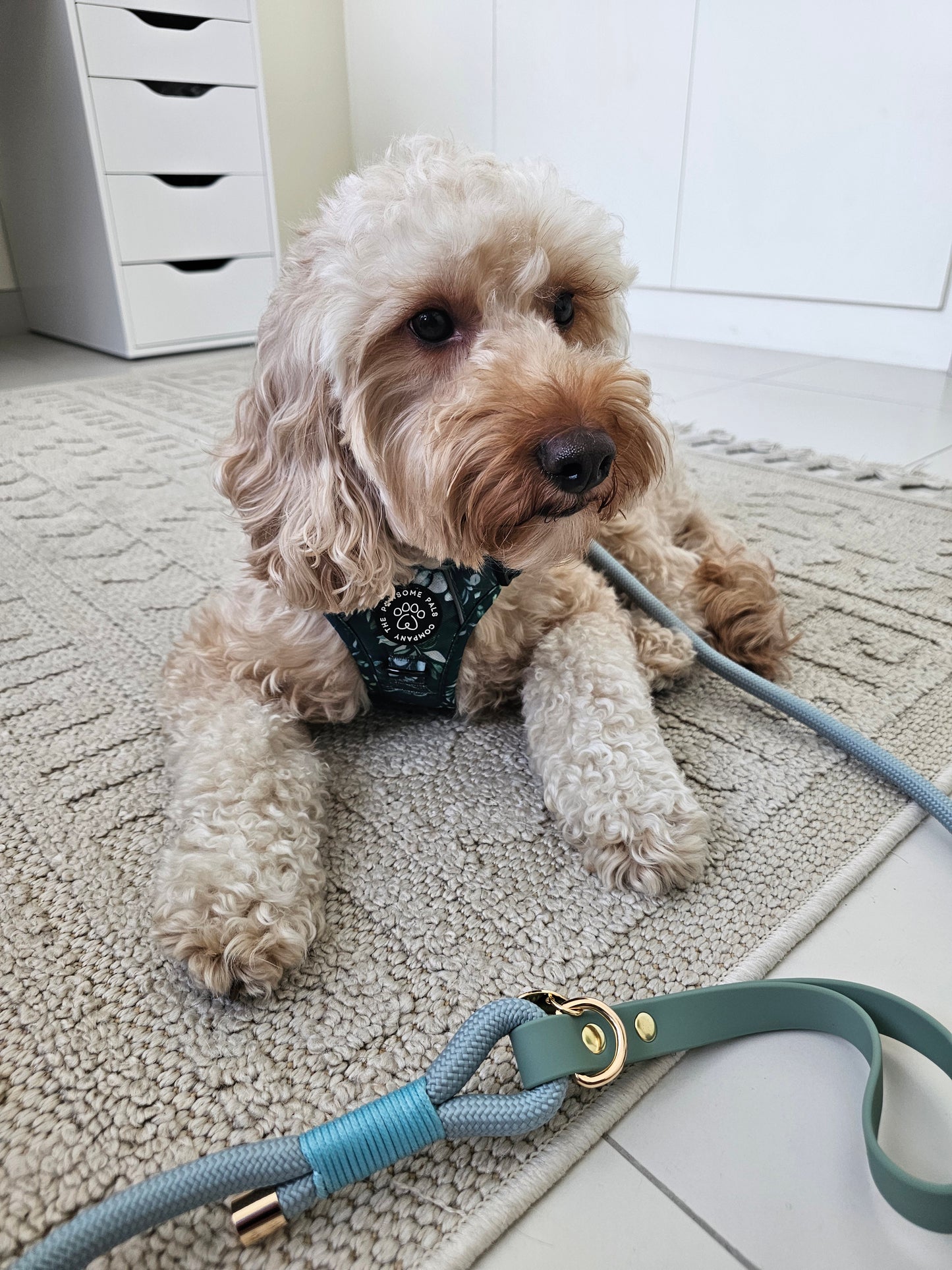Deluxe Boutique Garden Collection | 3-Click Tough Trail Harness