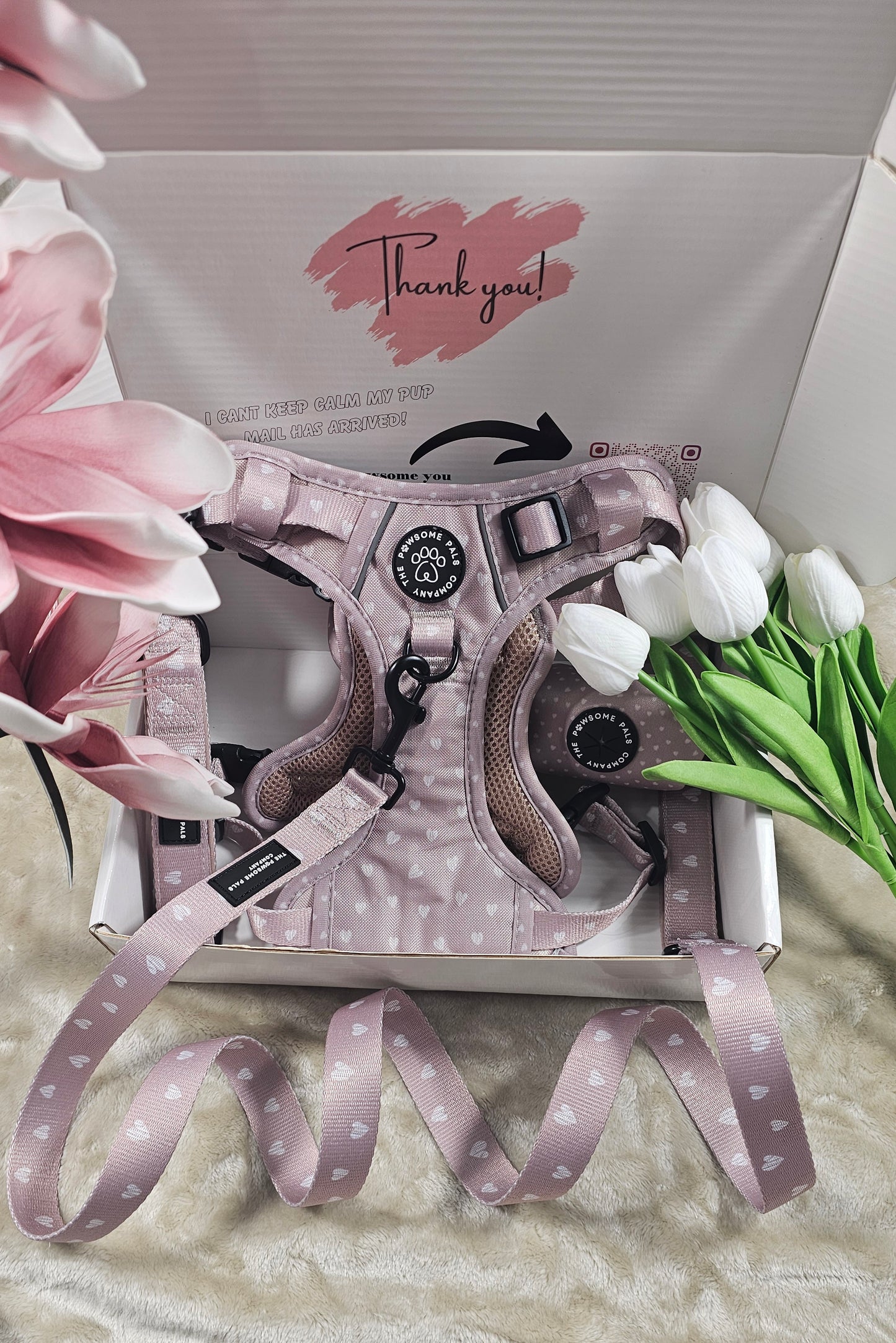Luxurious Latte Heart Collection | 3-Click Tough Trail Harness