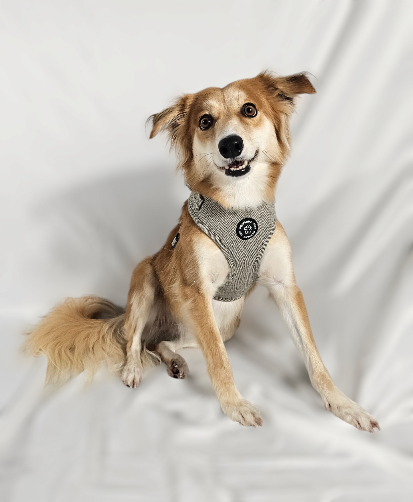 Luxe Tweed Collection | Harness | Biscuit