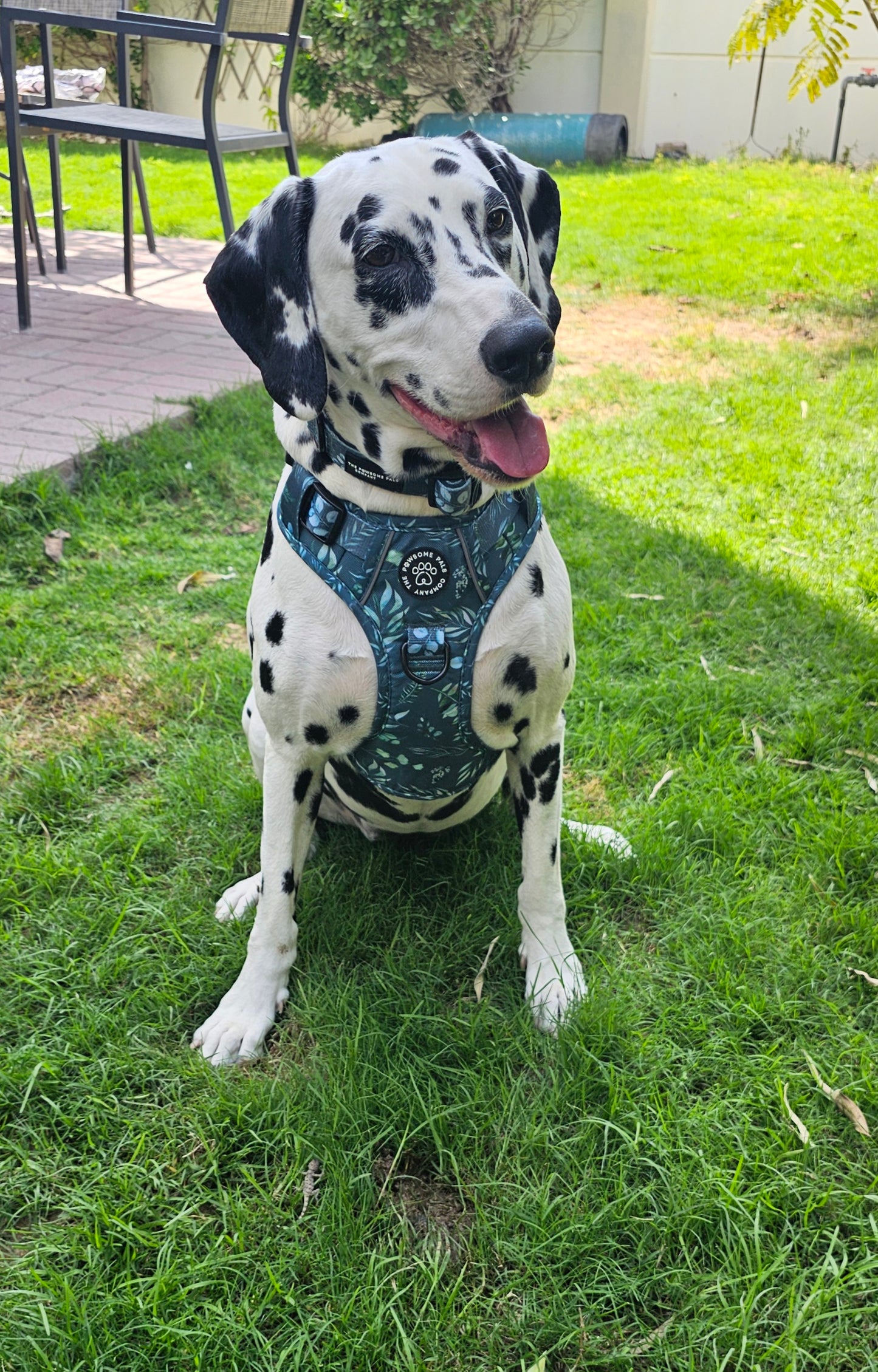 Deluxe Boutique Garden Collection | 3-Click Tough Trail Harness