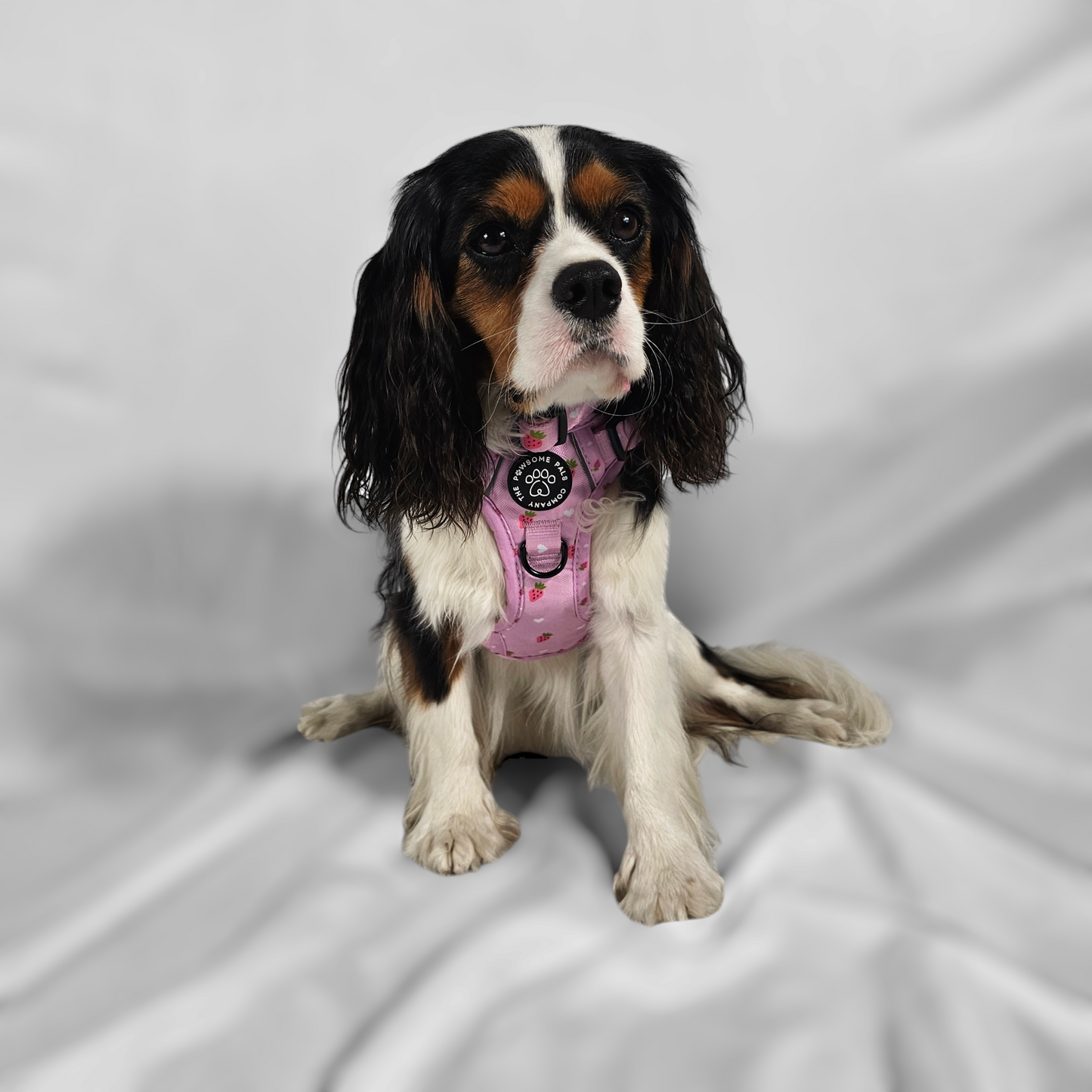 Strawberry Blush Collection | 3-Click Tough Trail Harness