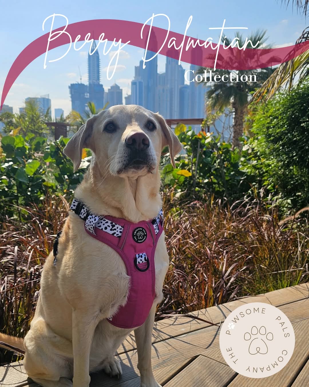Lavish Berry Dalmatian collection | 3-Click Tough Trail Harness