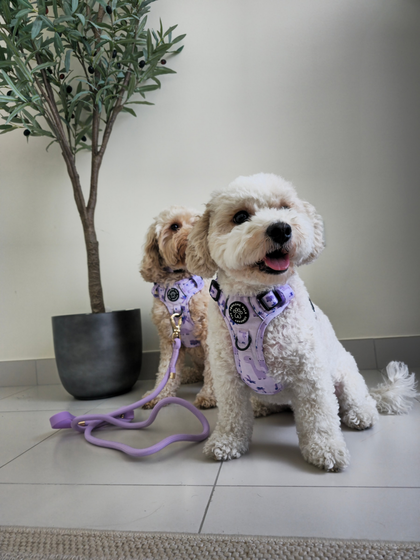 Rocco-RAWRUS Range | 3-Click Tough Trail Harness | Plush purple