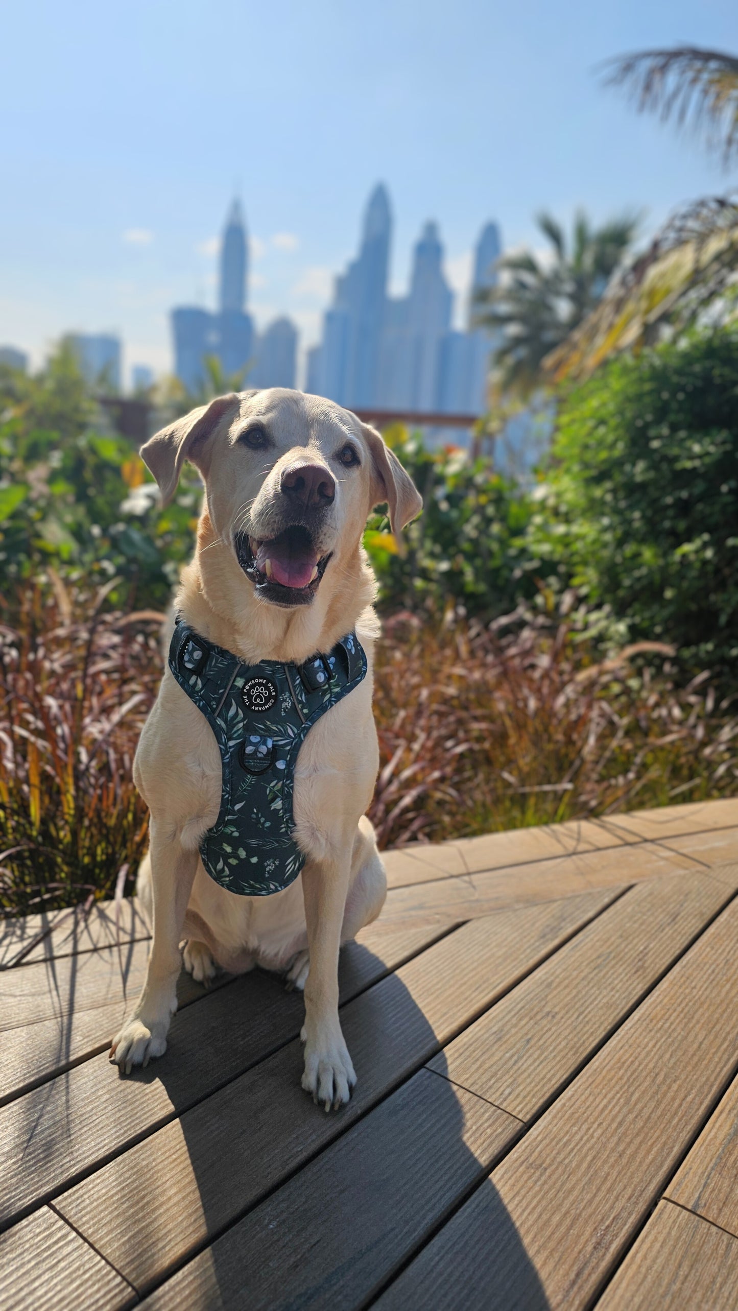 Deluxe Boutique Garden Collection | 3-Click Tough Trail Harness