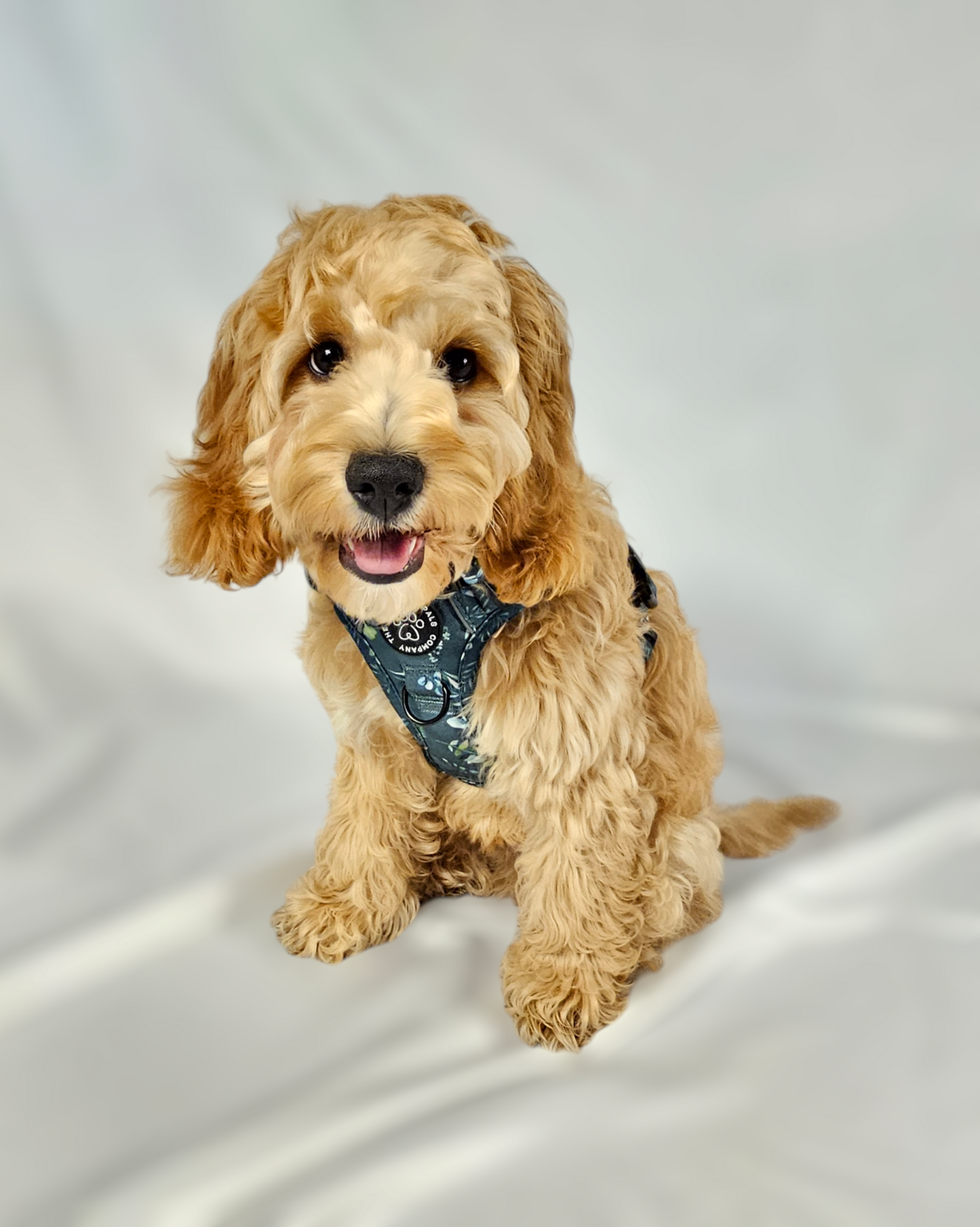 Deluxe Boutique Garden Collection | 3-Click Tough Trail Harness