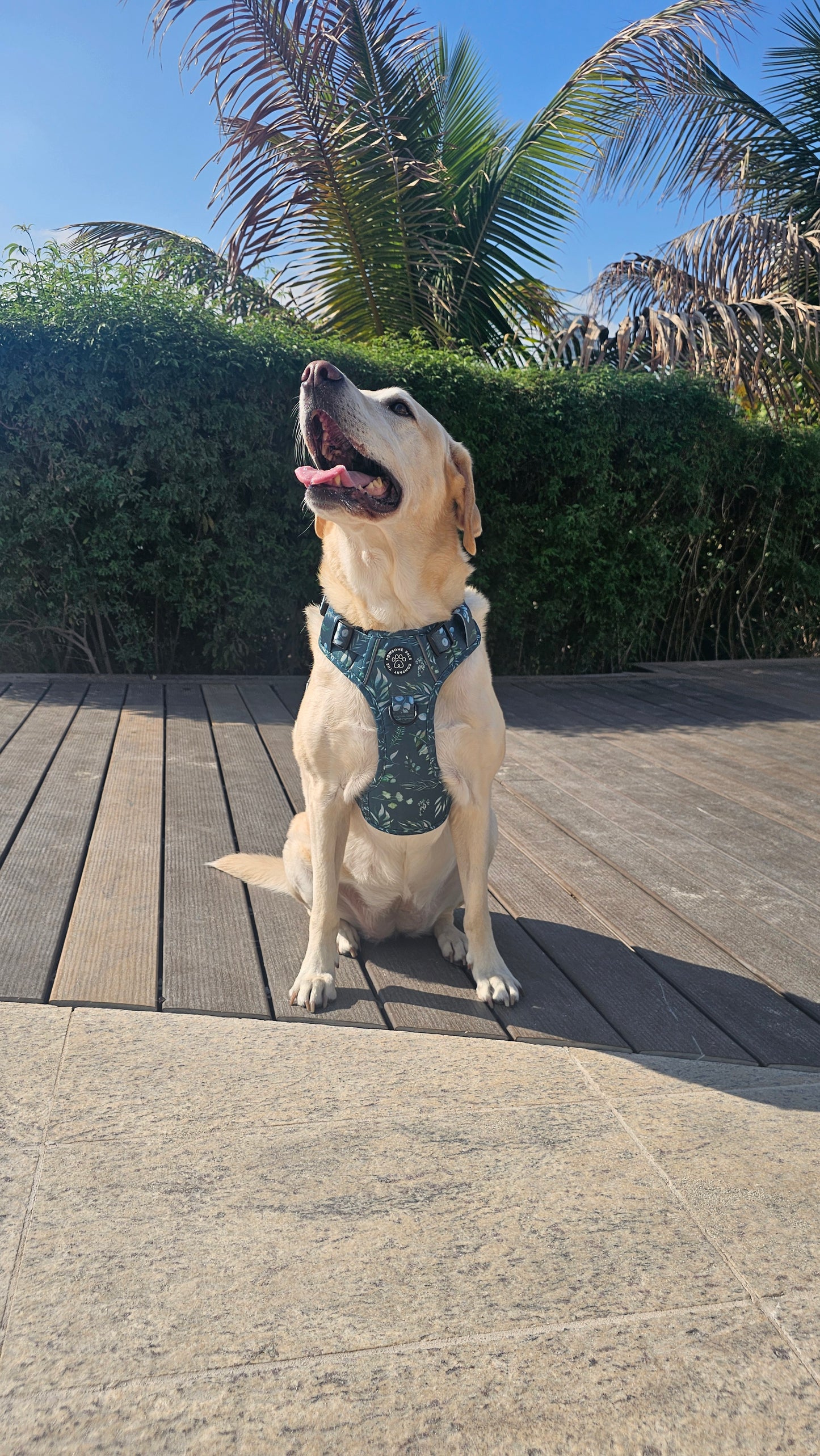 Deluxe Boutique Garden Collection | 3-Click Tough Trail Harness