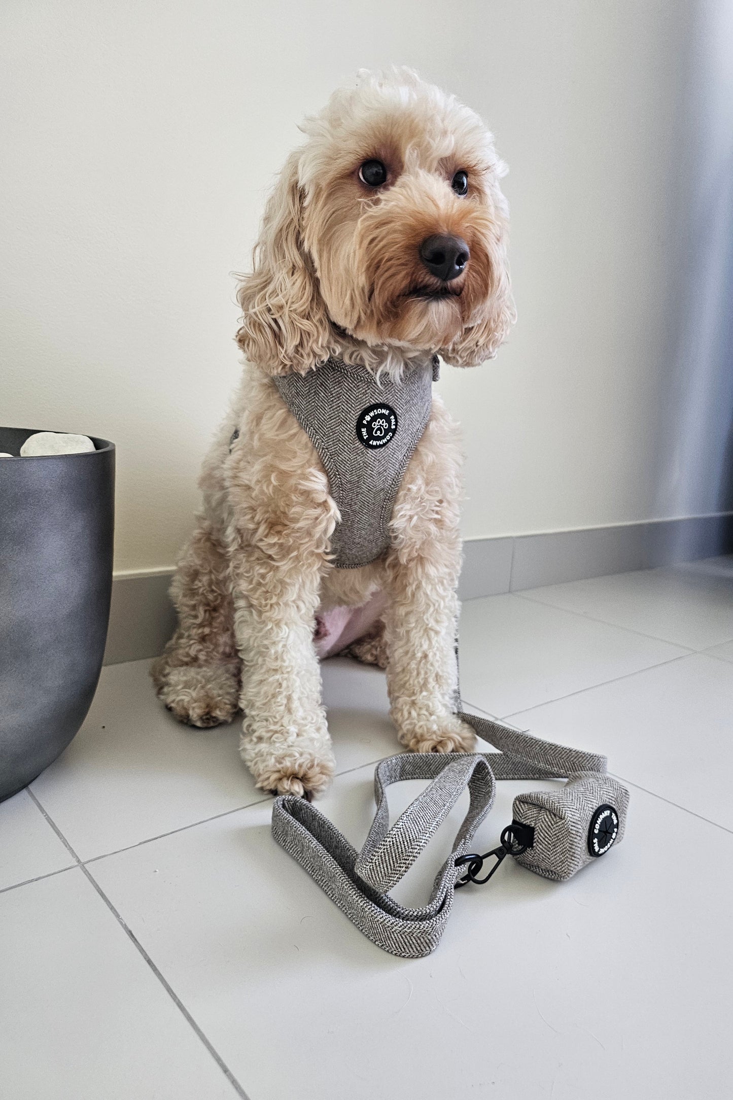 Luxe Tweed Collection | Harness | Biscuit