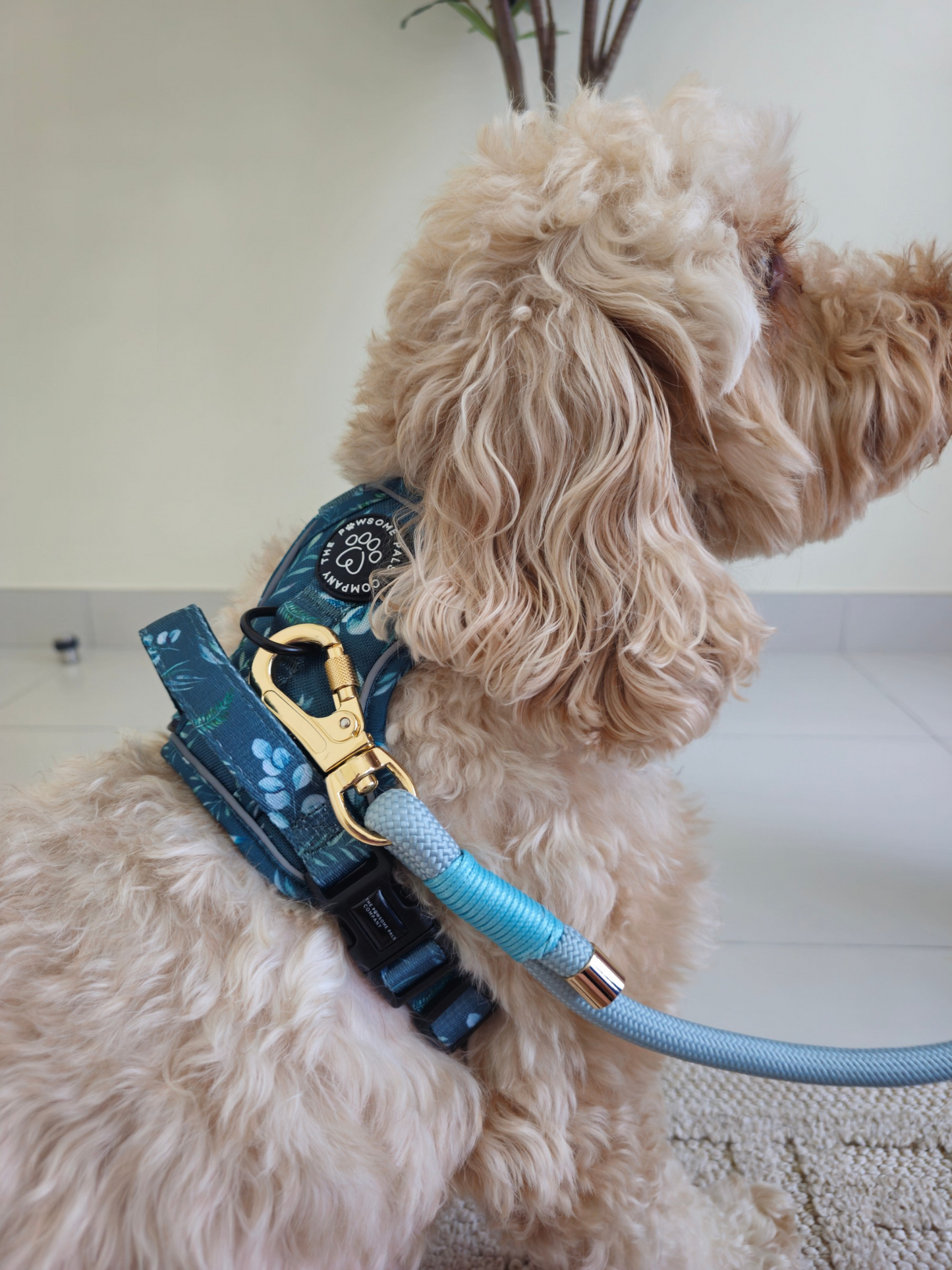 Deluxe Boutique Garden Collection | 3-Click Tough Trail Harness