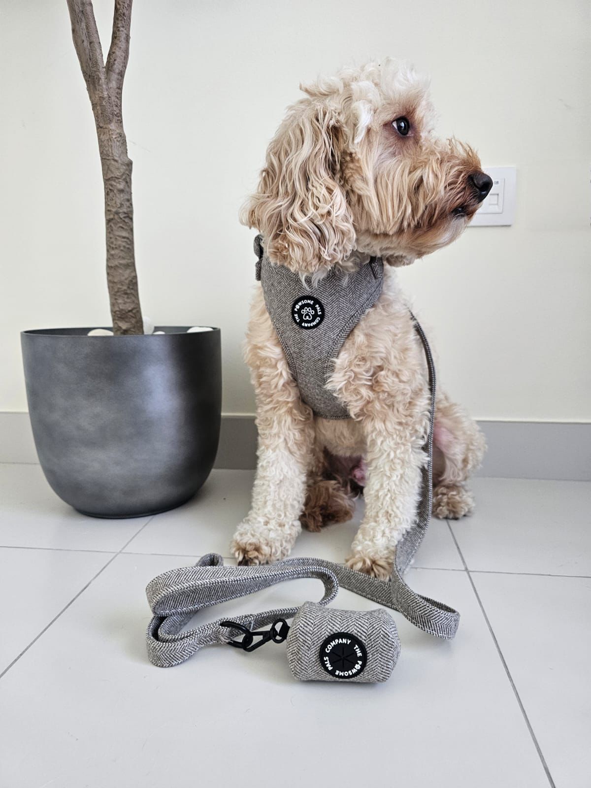 Luxe Tweed Collection | Harness | Biscuit