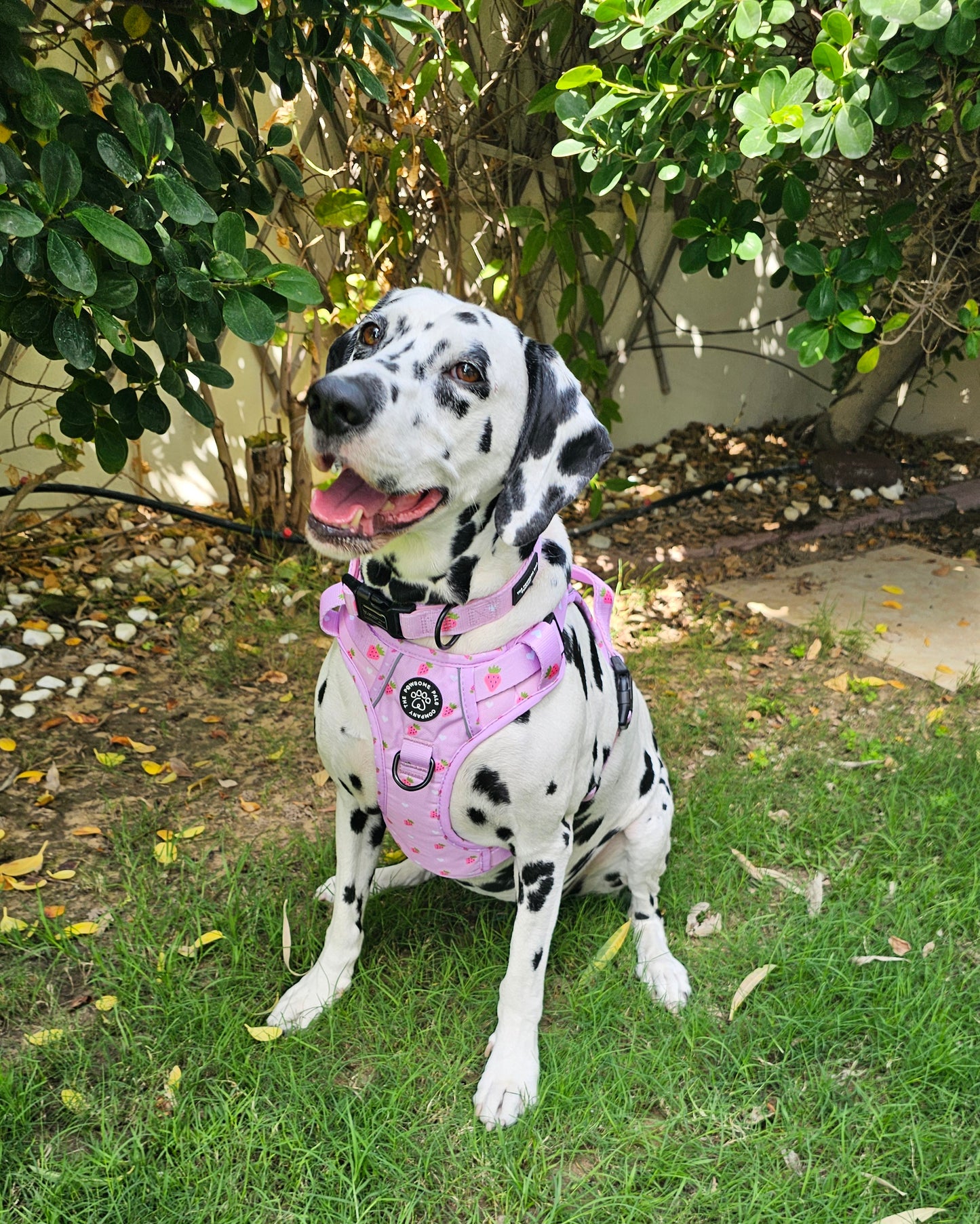 Strawberry Blush Collection | 3-Click Tough Trail Harness