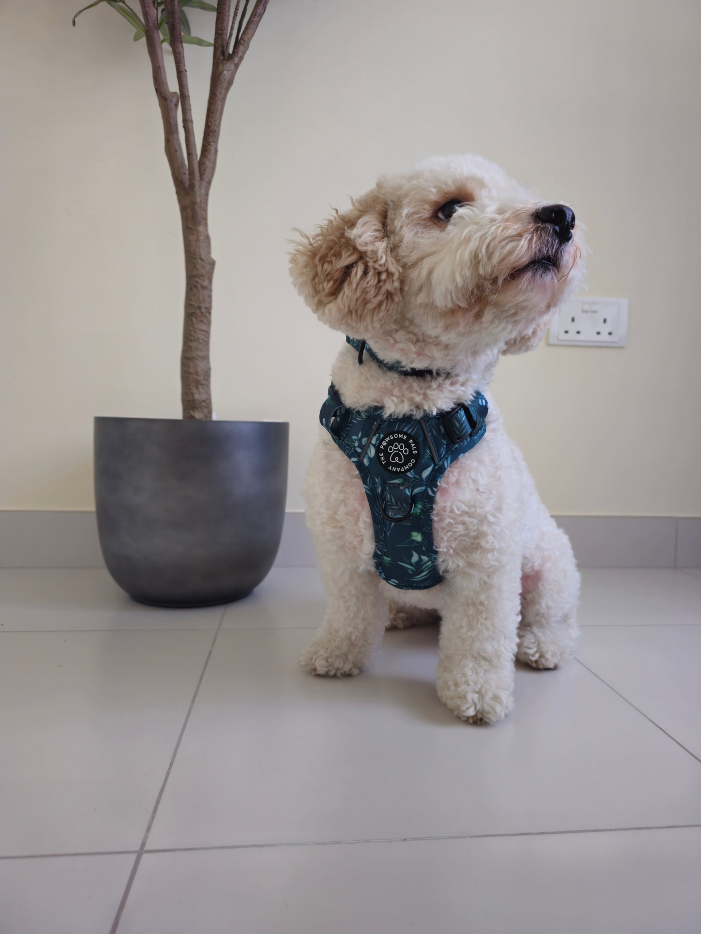 Deluxe Boutique Garden Collection | 3-Click Tough Trail Harness