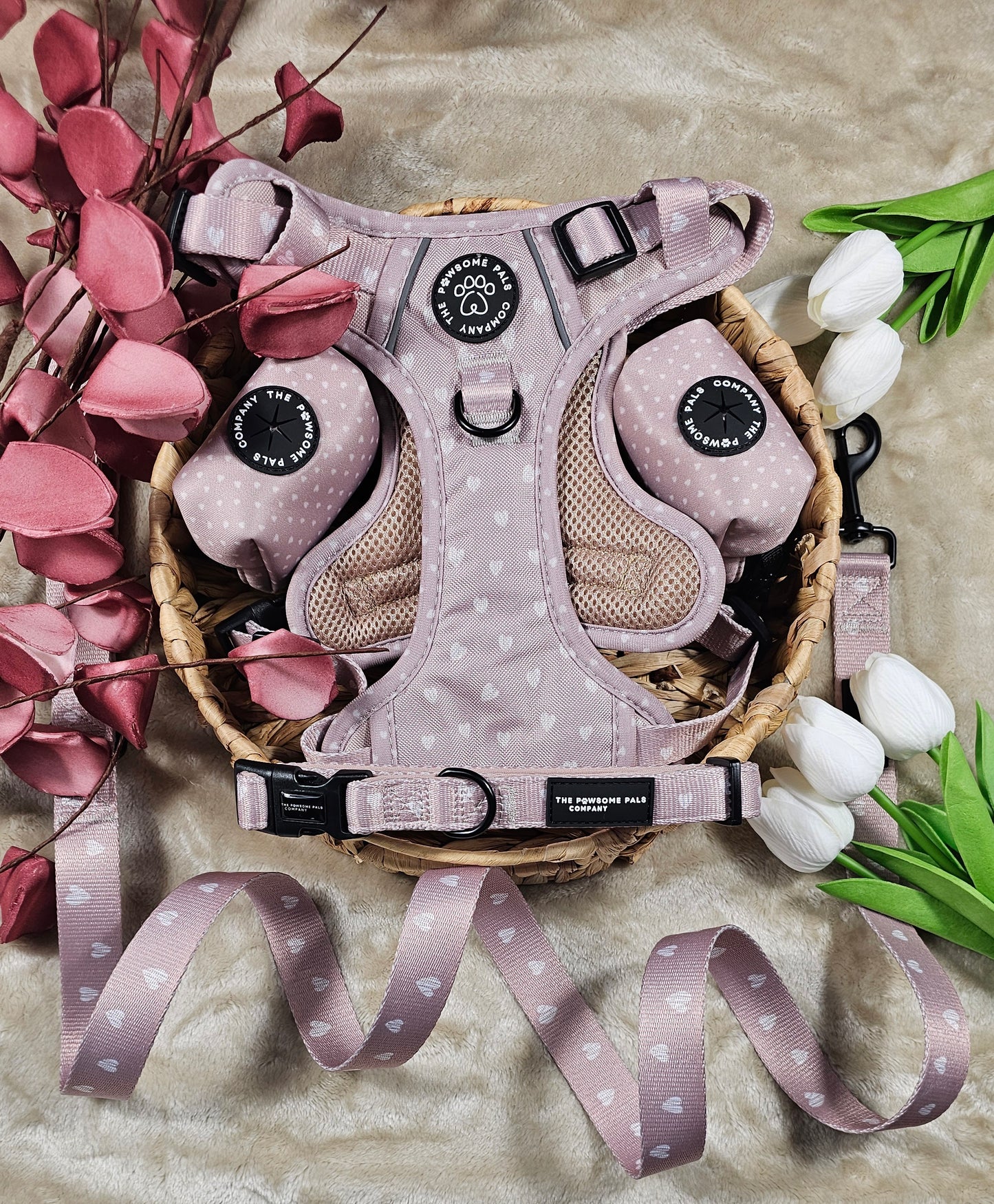 Luxurious Latte Heart Collection | 3-Click Tough Trail Harness