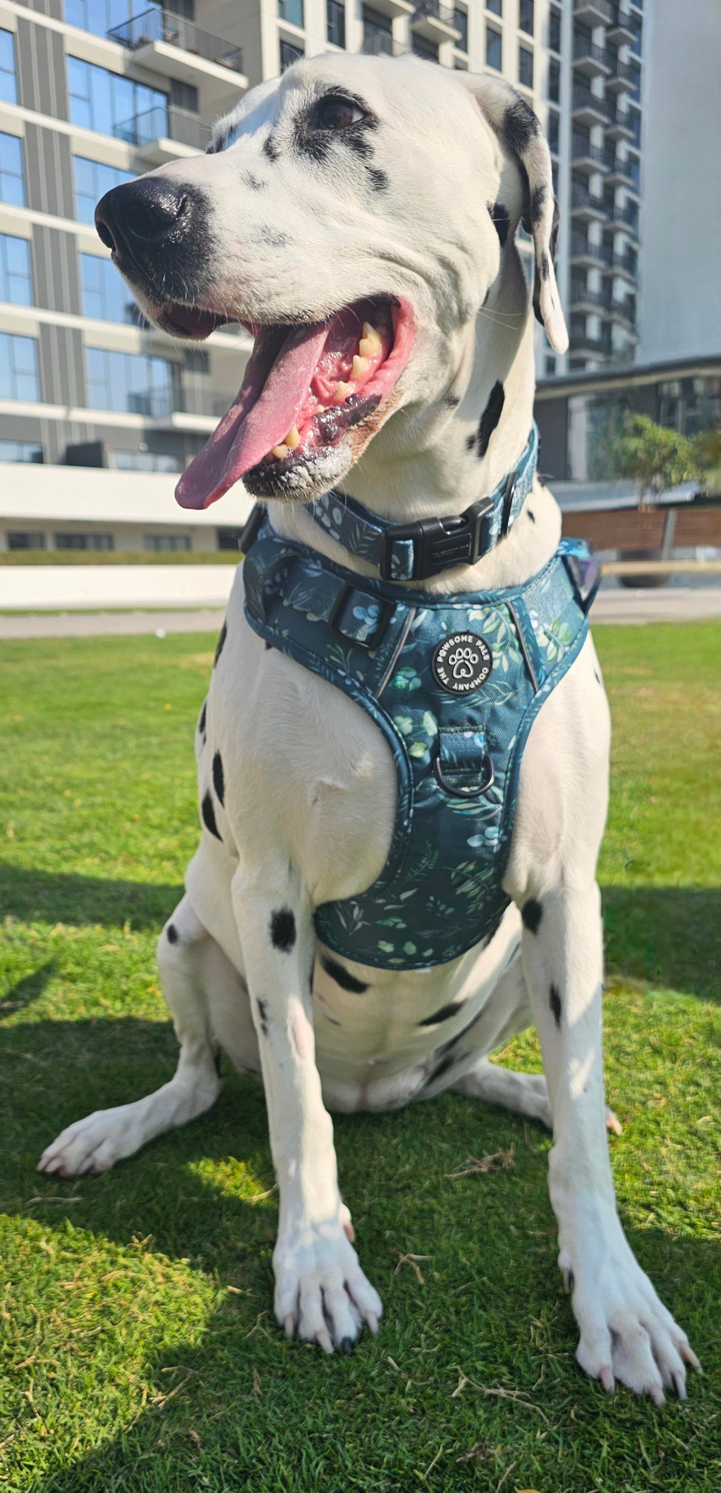 Deluxe Boutique Garden Collection | 3-Click Tough Trail Harness