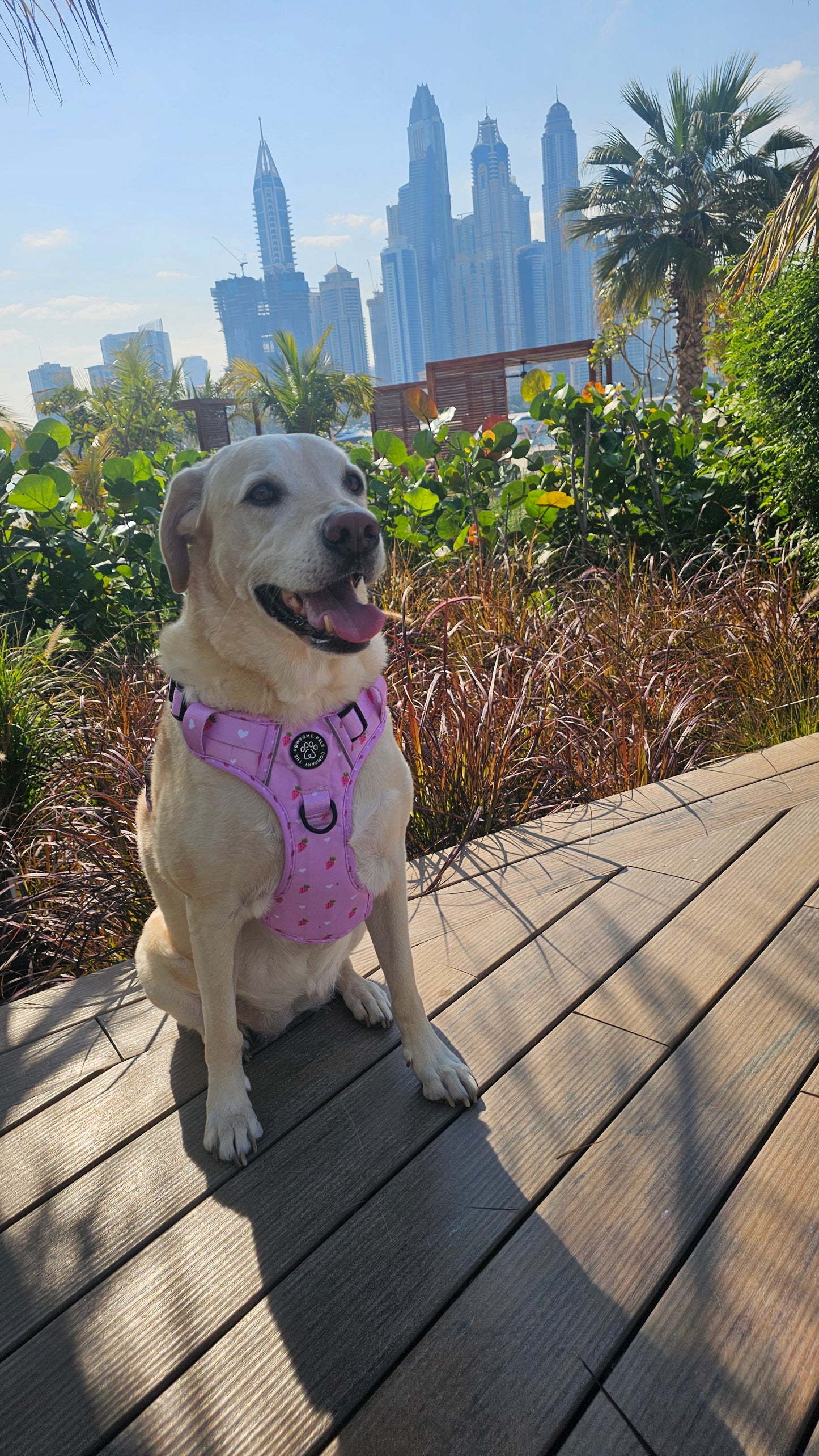 Strawberry Blush Collection | 3-Click Tough Trail Harness