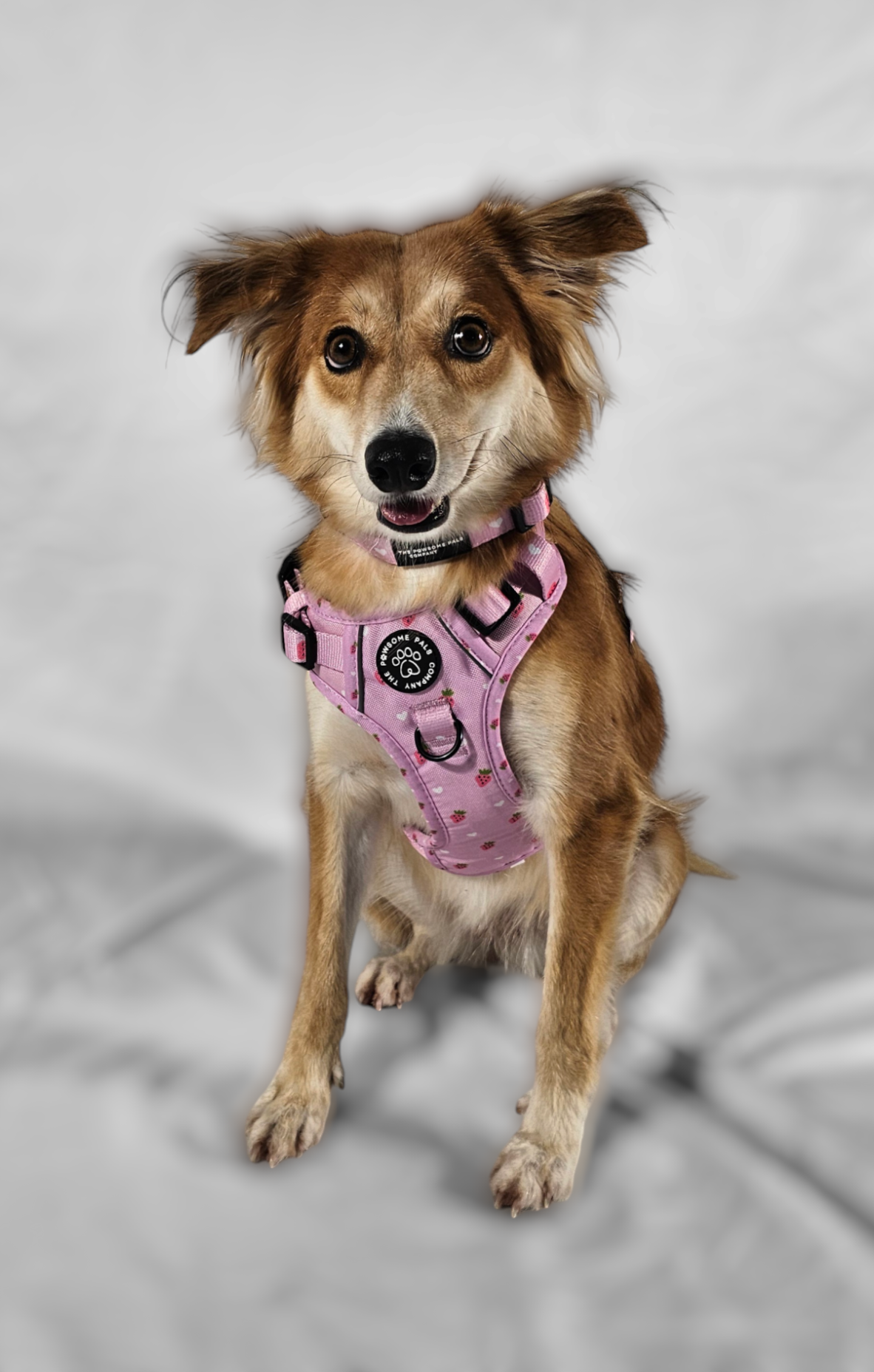 Strawberry Blush Collection | 3-Click Tough Trail Harness