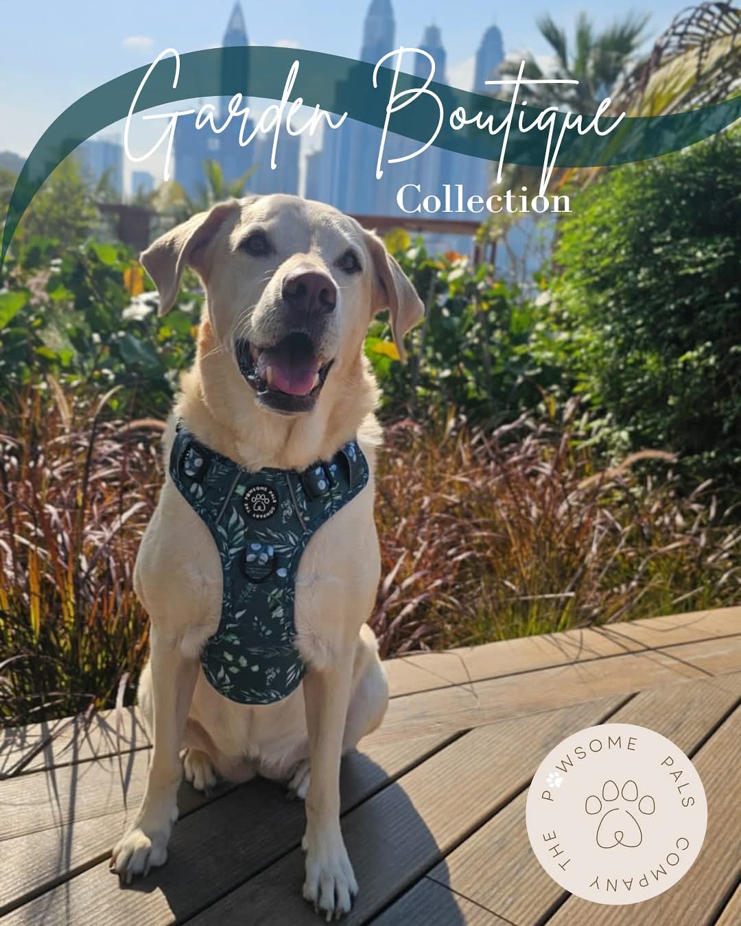 Deluxe Boutique Garden Collection | 3-Click Tough Trail Harness