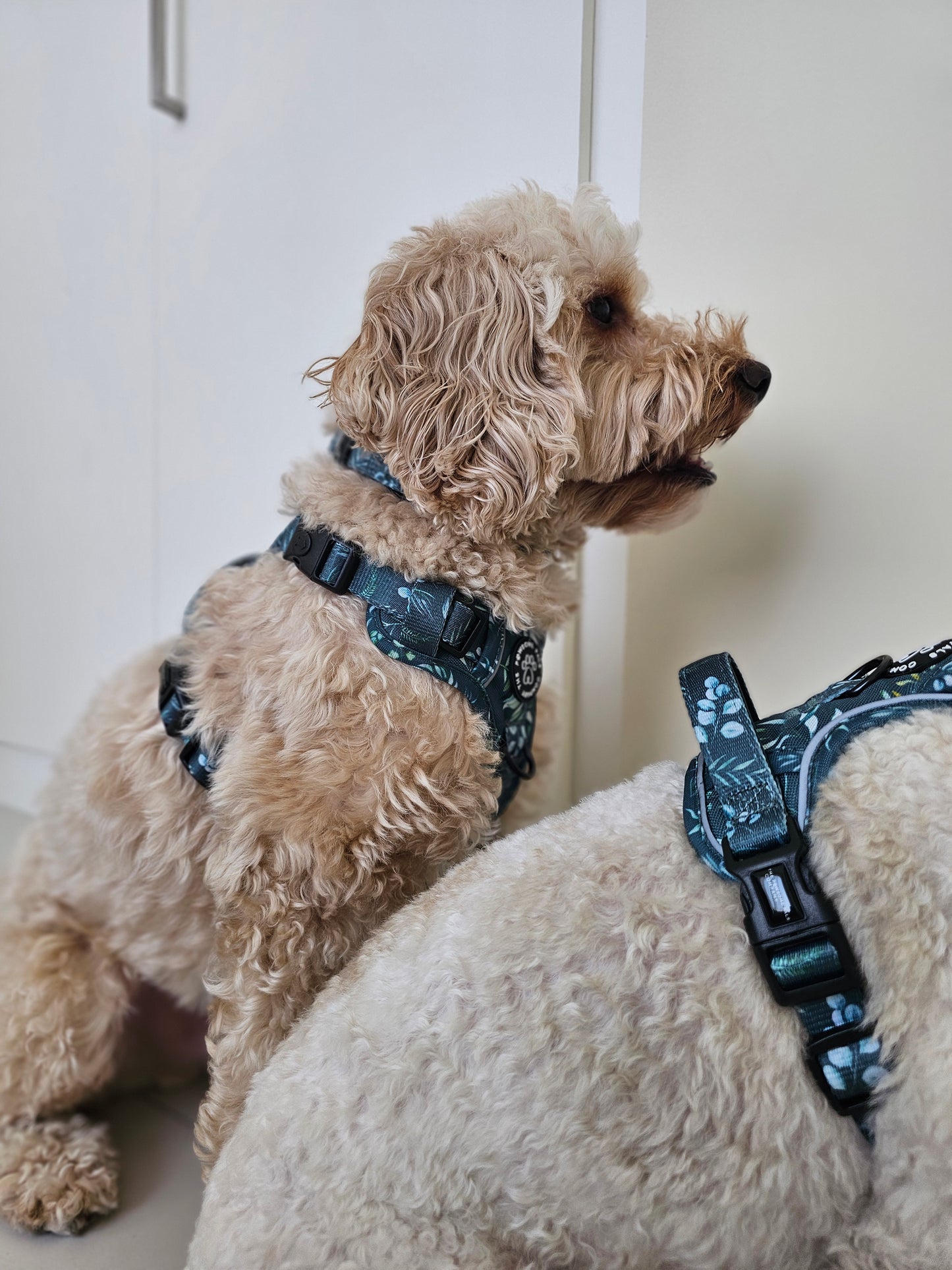 Deluxe Boutique Garden Collection | 3-Click Tough Trail Harness