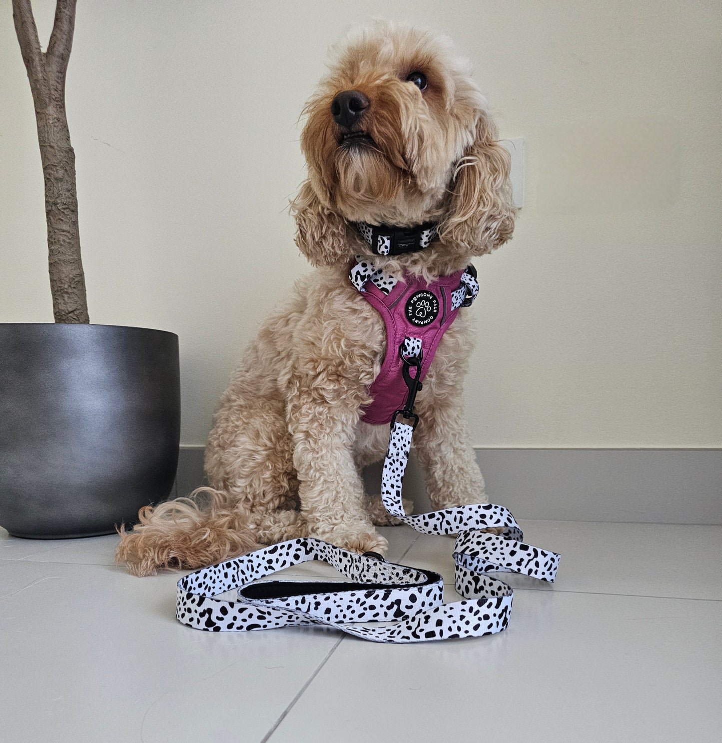 Lavish Berry Dalmatian collection | 3-Click Tough Trail Harness