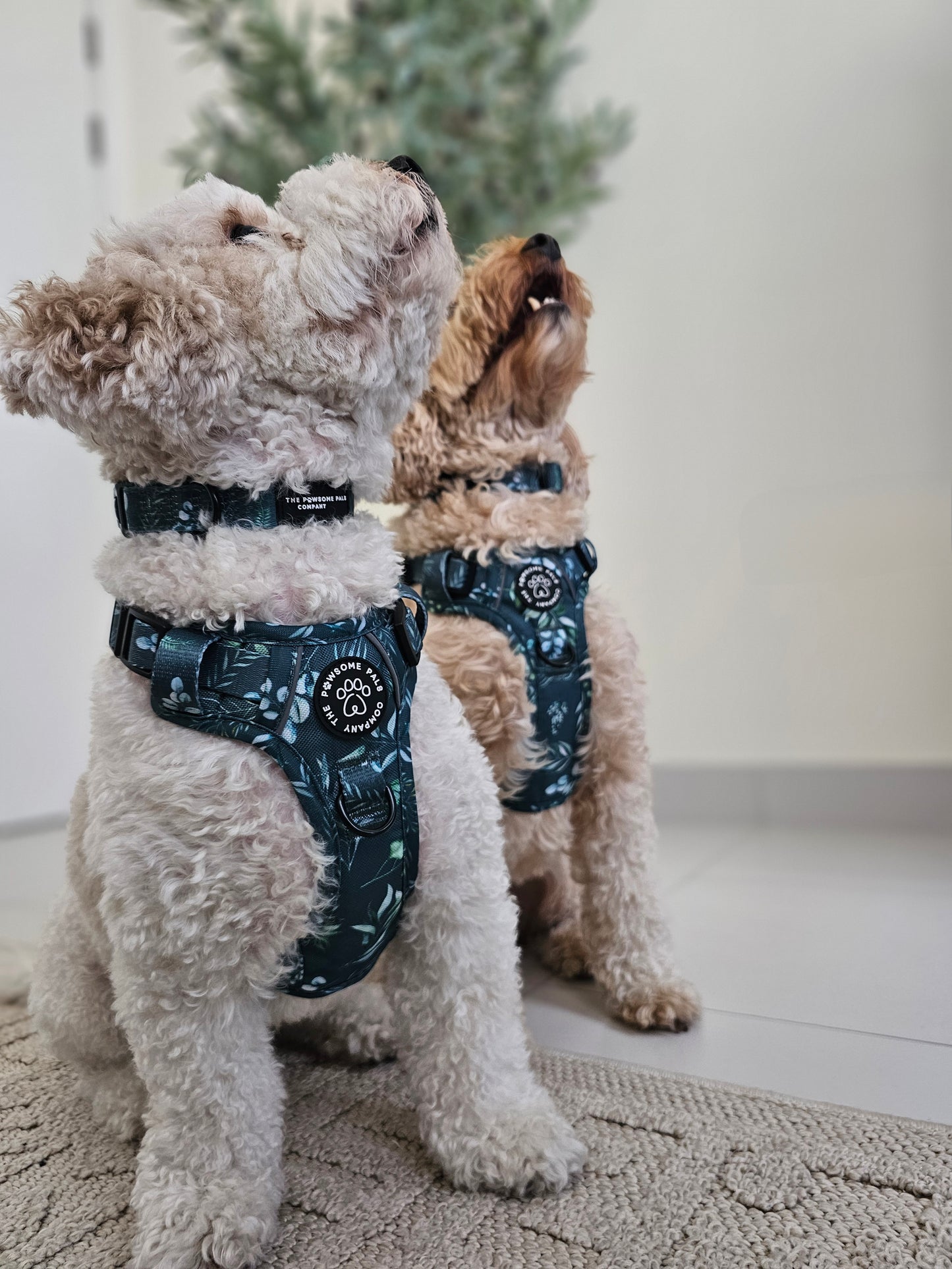 Deluxe Boutique Garden Collection | 3-Click Tough Trail Harness