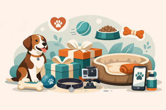 15 Gift Ideas for Dog Owners They’ll Love