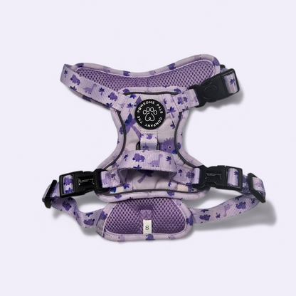 Rocco-RAWRUS Range | 3-Click Tough Trail Harness | Plush purple