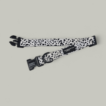 Lavish Dalmatian Collection | Collar