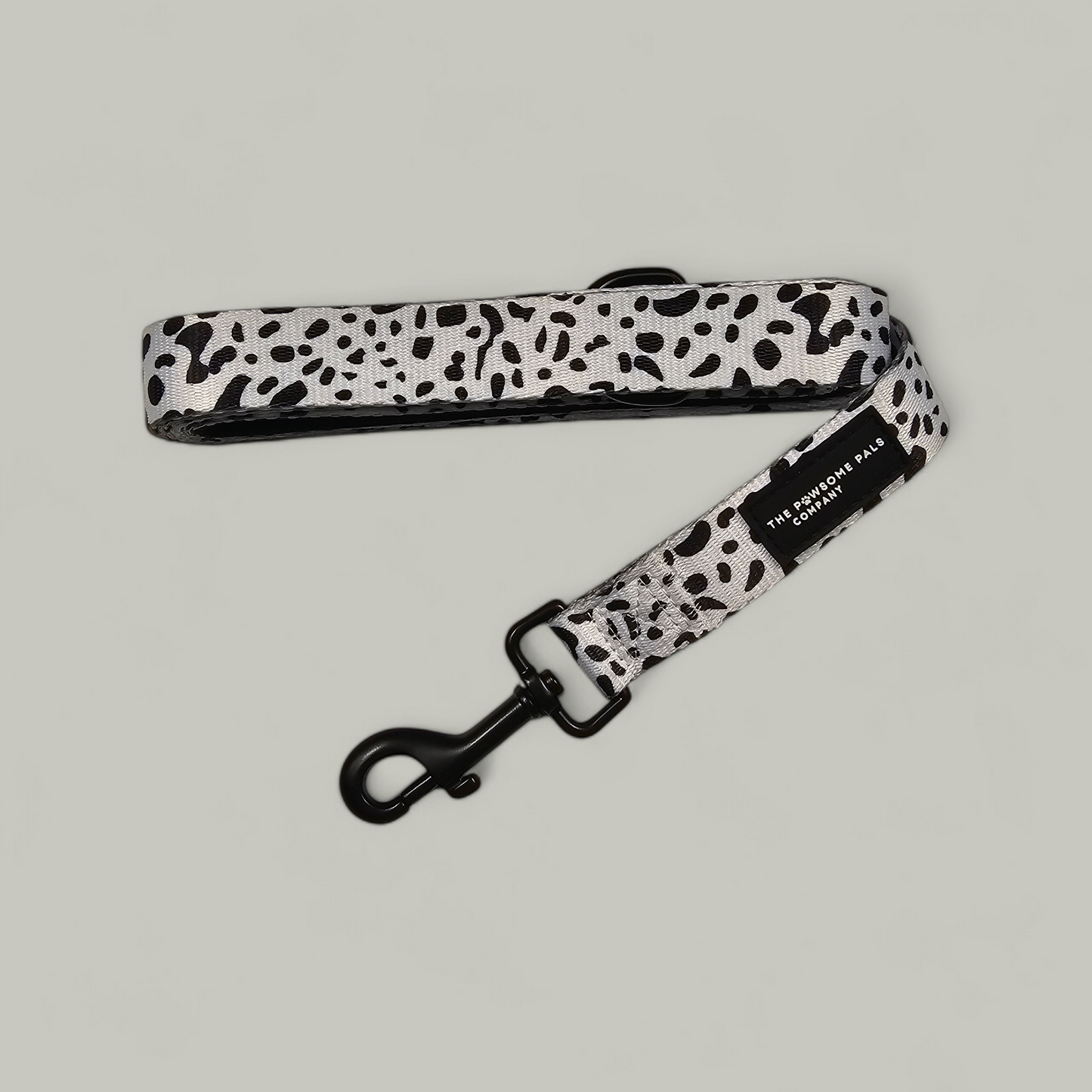 Lavish Dalmatian Collection | Lead