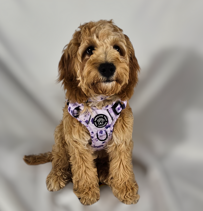 Rocco-RAWRUS Range | 3-Click Tough Trail Harness | Plush purple