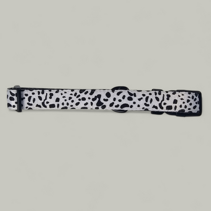 Lavish Dalmatian Collection | Collar