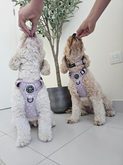 Luxurious Latte Heart Collection | 3-Click Tough Trail Harness