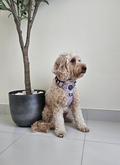 Luxurious Latte Heart Collection | 3-Click Tough Trail Harness