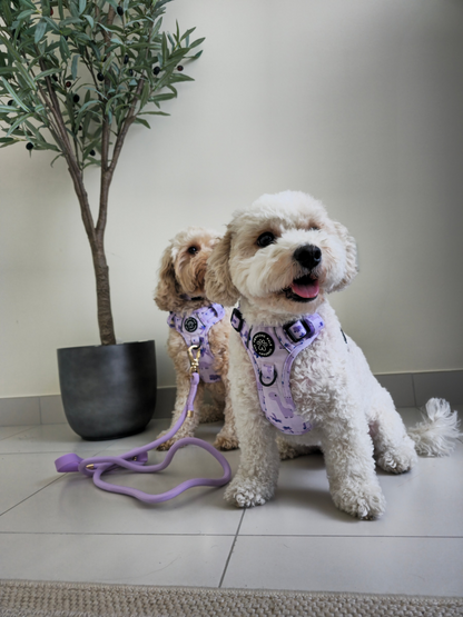 Rocco-RAWRUS Range | 3-Click Tough Trail Harness | Plush purple