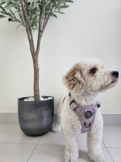 Luxurious Latte Heart Collection | 3-Click Tough Trail Harness