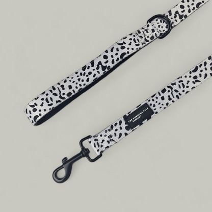 Lavish Dalmatian Collection | Lead