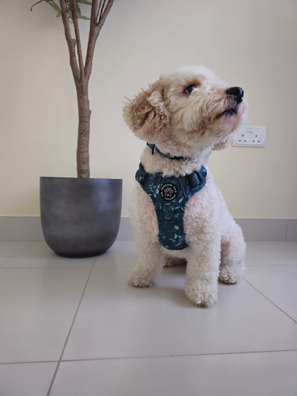 Deluxe Boutique Garden Collection | 3-Click Tough Trail Harness
