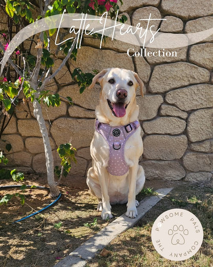 Luxurious Latte Heart Collection | 3-Click Tough Trail Harness