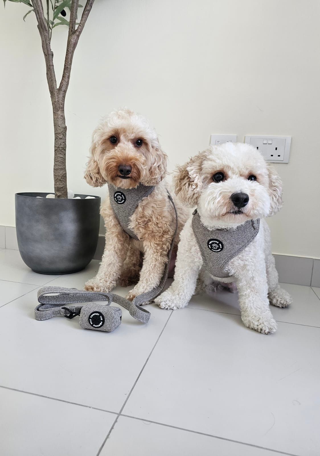 Luxe Tweed Collection | Harness | Biscuit