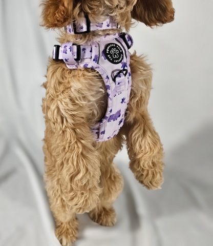 Rocco-RAWRUS Range | 3-Click Tough Trail Harness | Plush purple