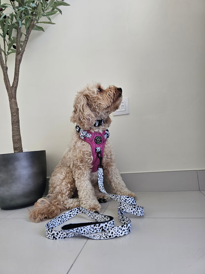 Lavish Berry Dalmatian collection | 3-Click Tough Trail Harness