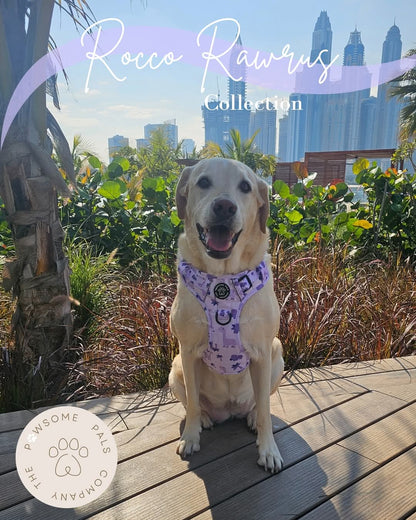 Rocco-RAWRUS Range | 3-Click Tough Trail Harness | Plush purple