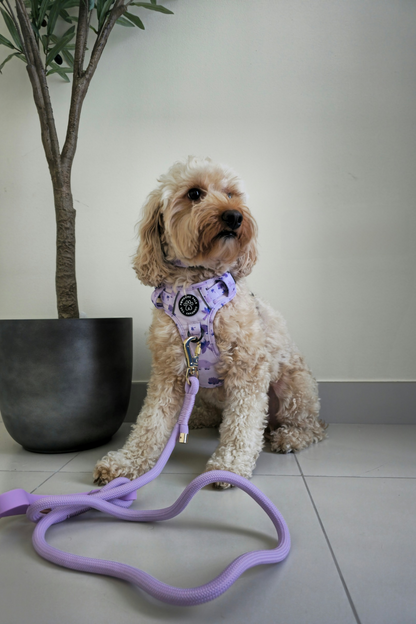 Rocco-RAWRUS Range | 3-Click Tough Trail Harness | Plush purple