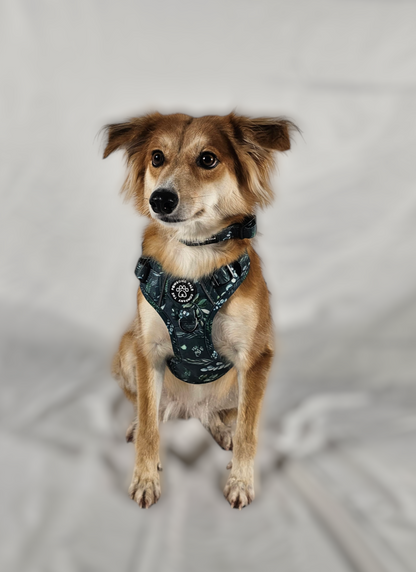 Deluxe Boutique Garden Collection | 3-Click Tough Trail Harness